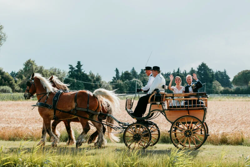 photo mariage robe gard
